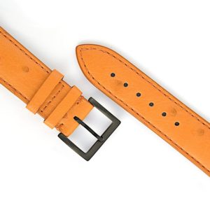 Cinturino Apple Watch, struzzo, castagna, AU02