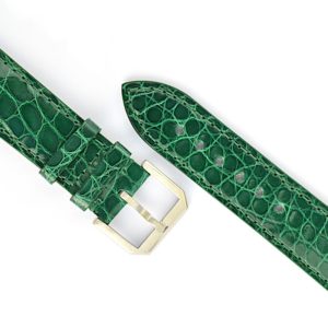 Bracelet Apple Watch, alligator rond, vert brillant, AB44-r